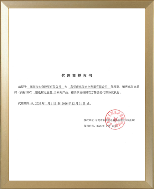 东阳光铝电解电容器